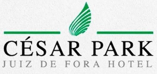 César Park Hotel - Juiz de Fora